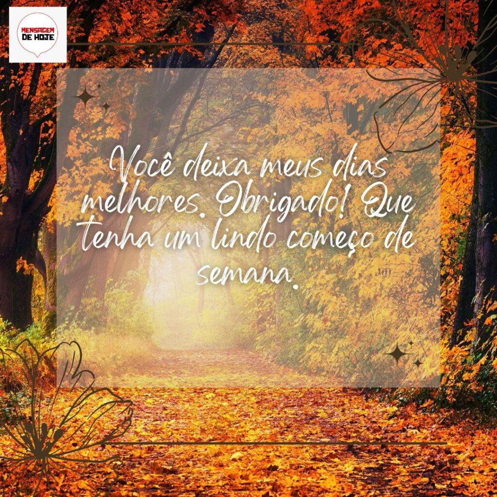 Bom Dia 28 de Outubro de 2022 11