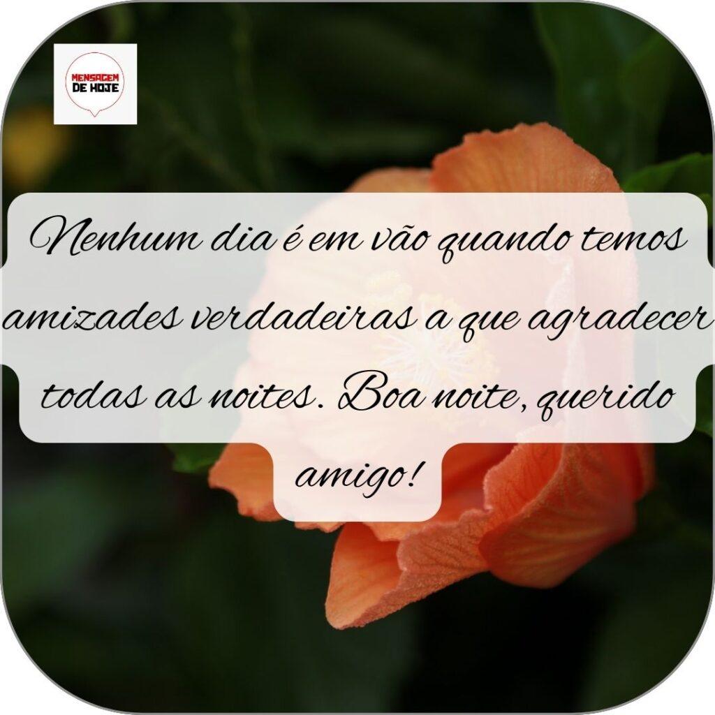 Boa Noite 21 de Outubro de 2022 7