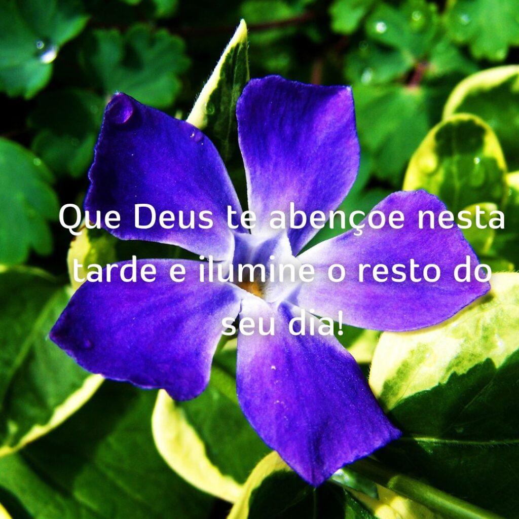 Boa Tarde 23 de Outubro de 2022 3