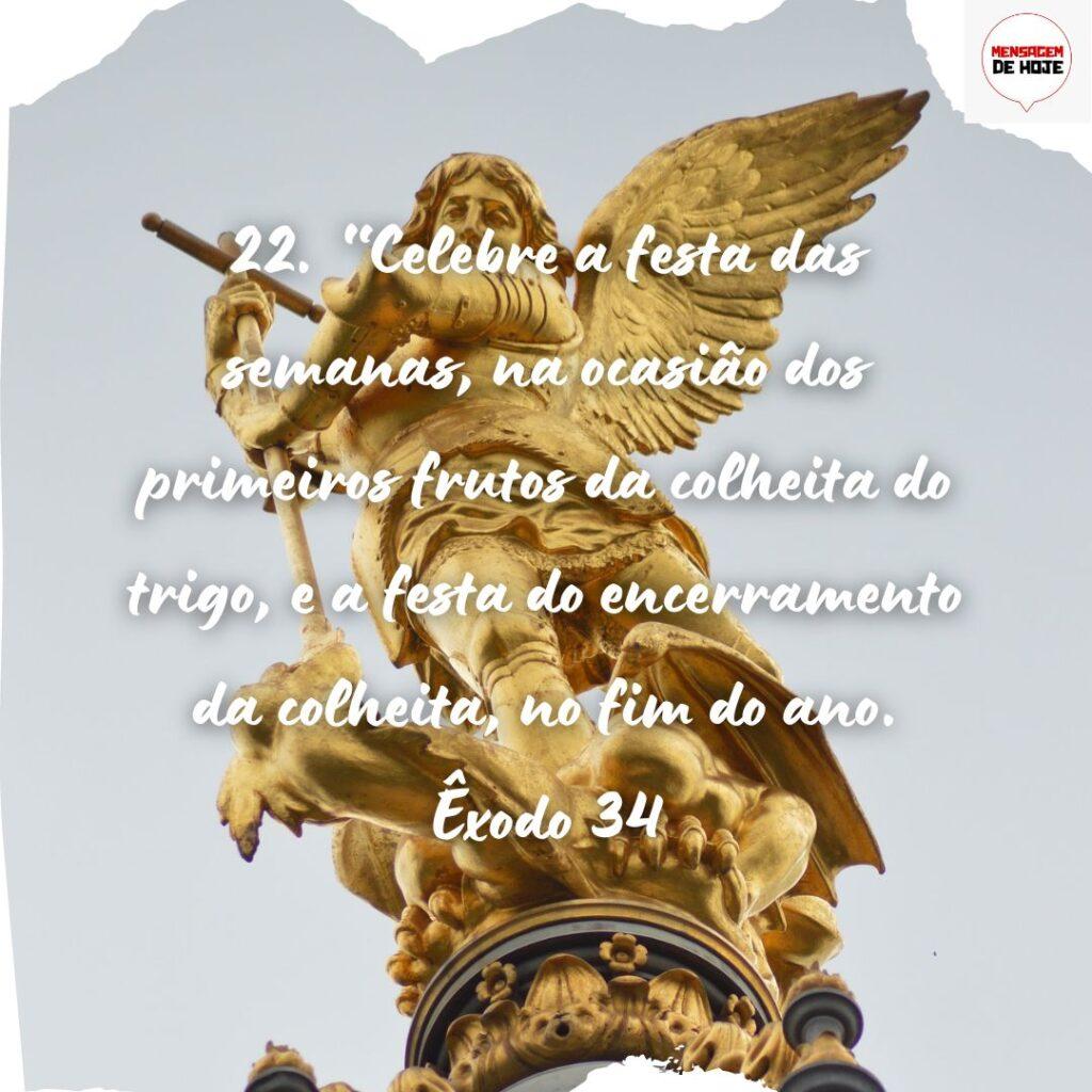 Salmos 10 de Novembro de 2022 7