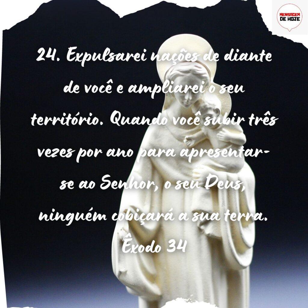 Salmos 10 de Novembro de 2022 11