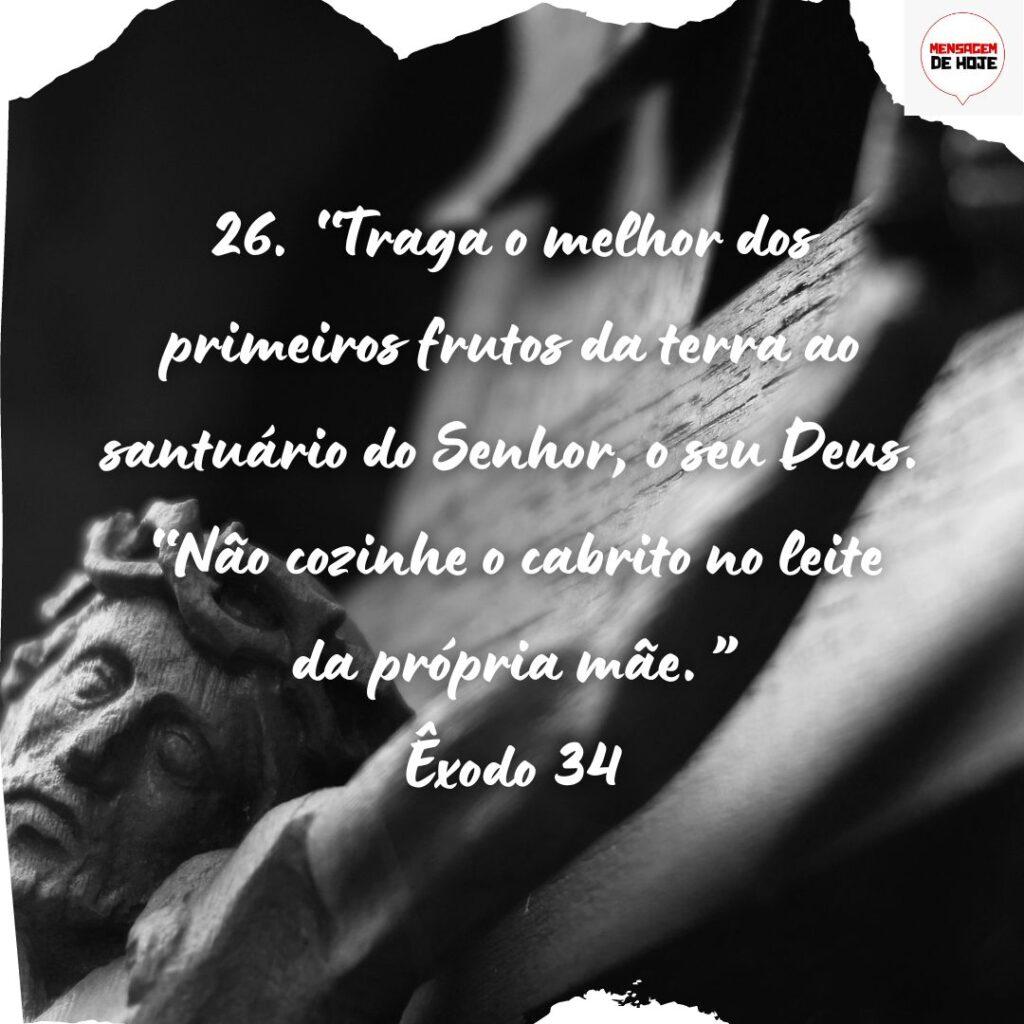 Salmos 10 de Novembro de 2022 15