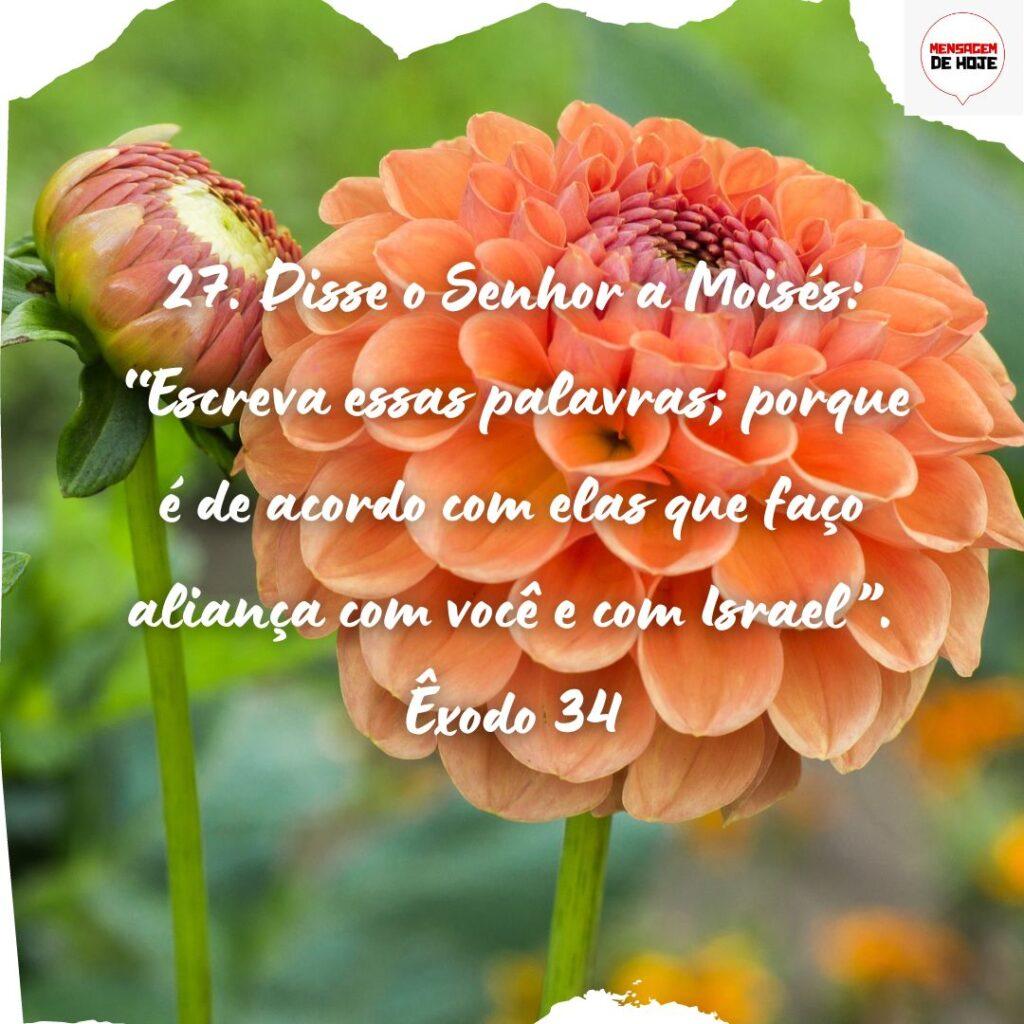 Salmos 10 de Novembro de 2022 17
