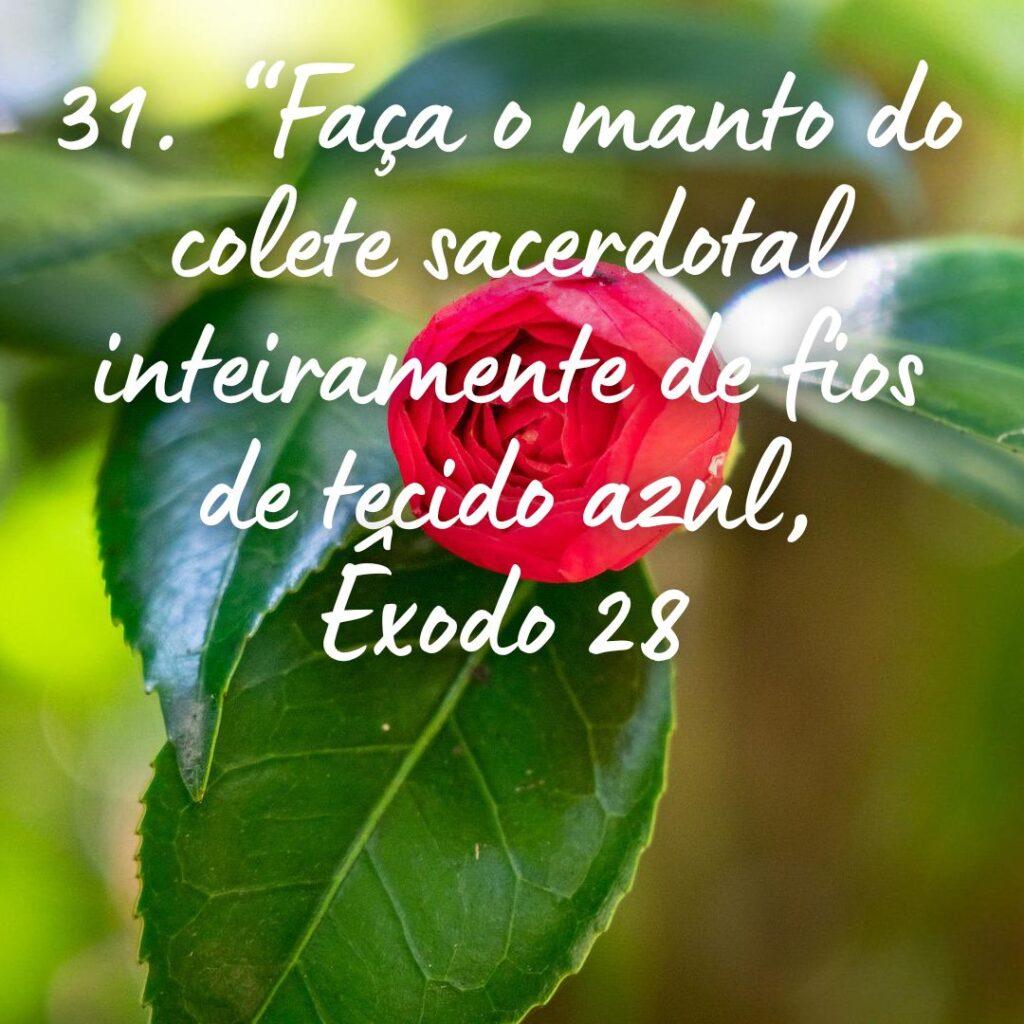Salmos 21 de Outubro de 2022 1