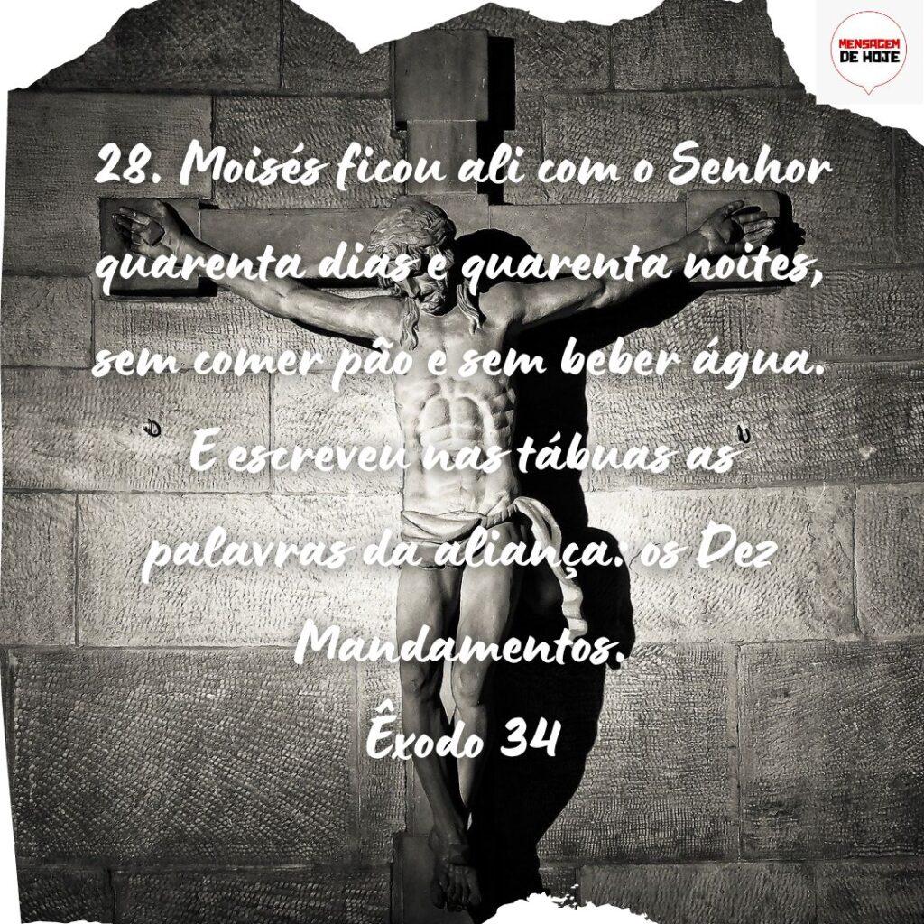 Salmos 10 de Novembro de 2022 19
