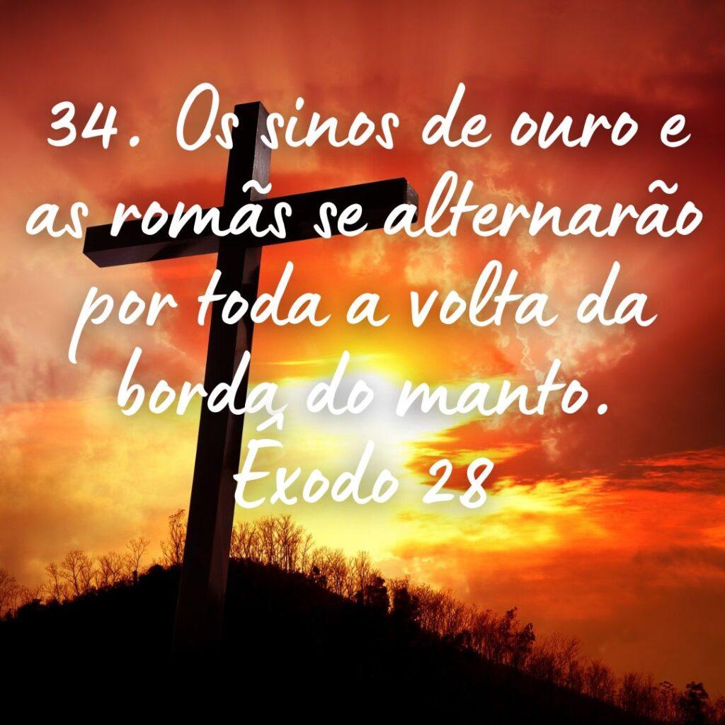 Salmos 22 de Outubro de 2022 11