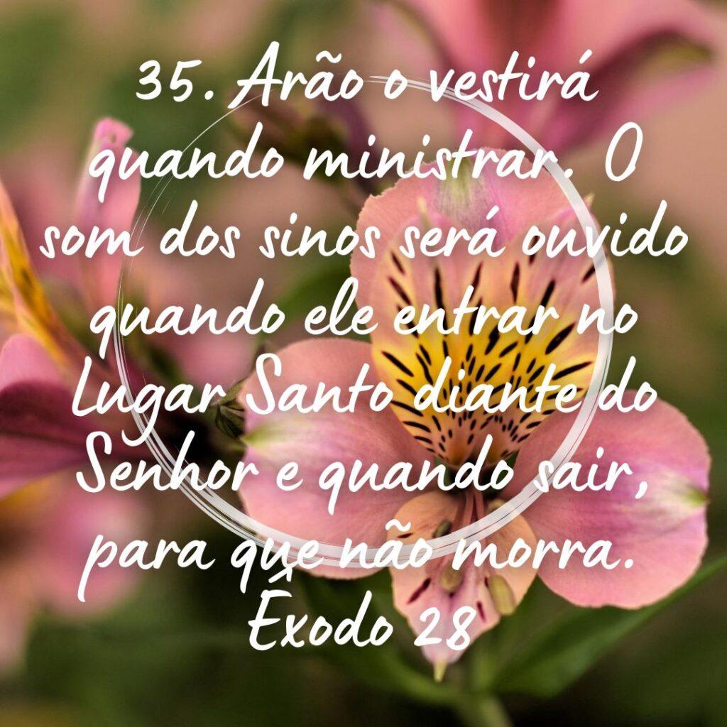 Salmos 22 de Outubro de 2022 13