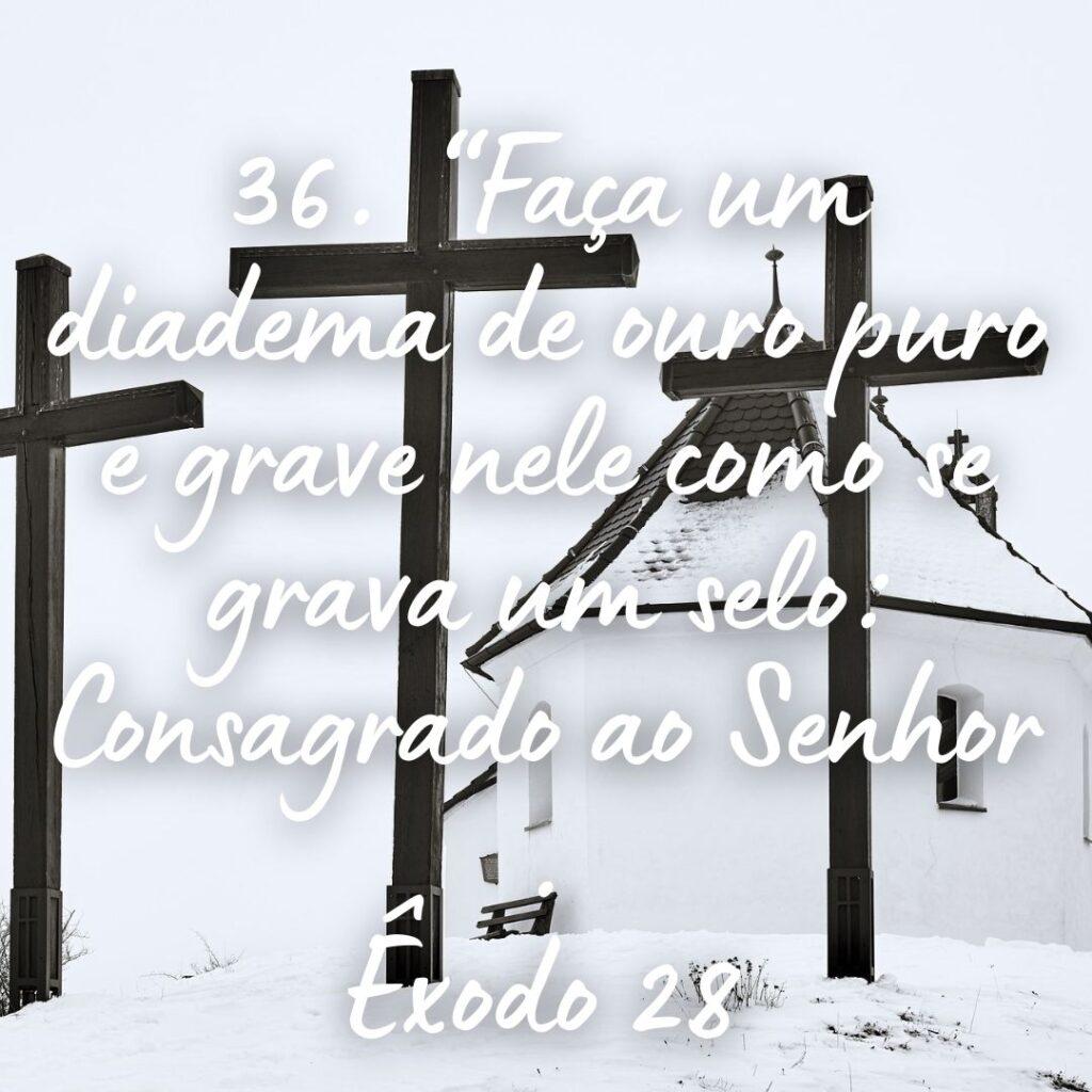 Salmos 22 de Outubro de 2022 15