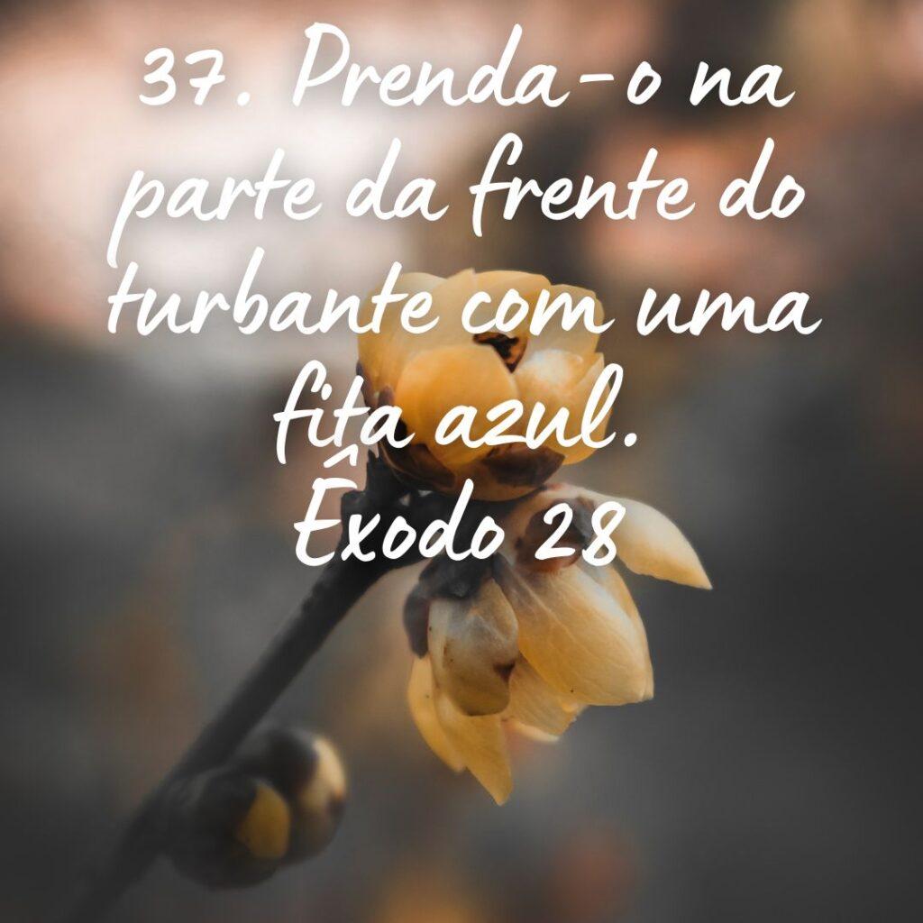 Salmos 22 de Outubro de 2022 17