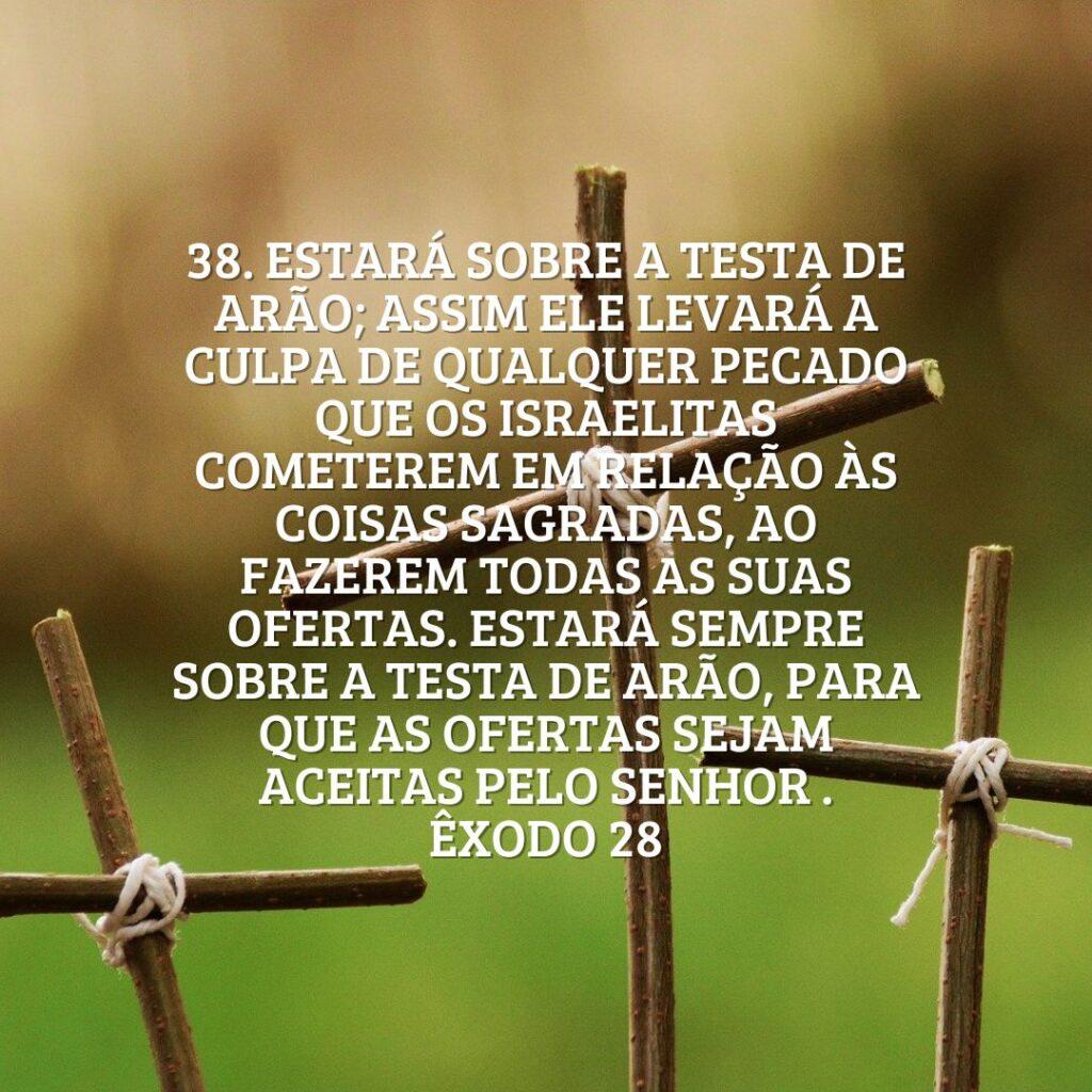 Salmos 22 de Outubro de 2022 19