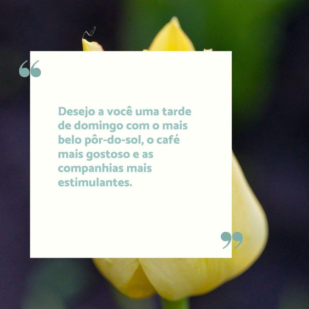 Boa Tarde 25 de Outubro de 2022 17