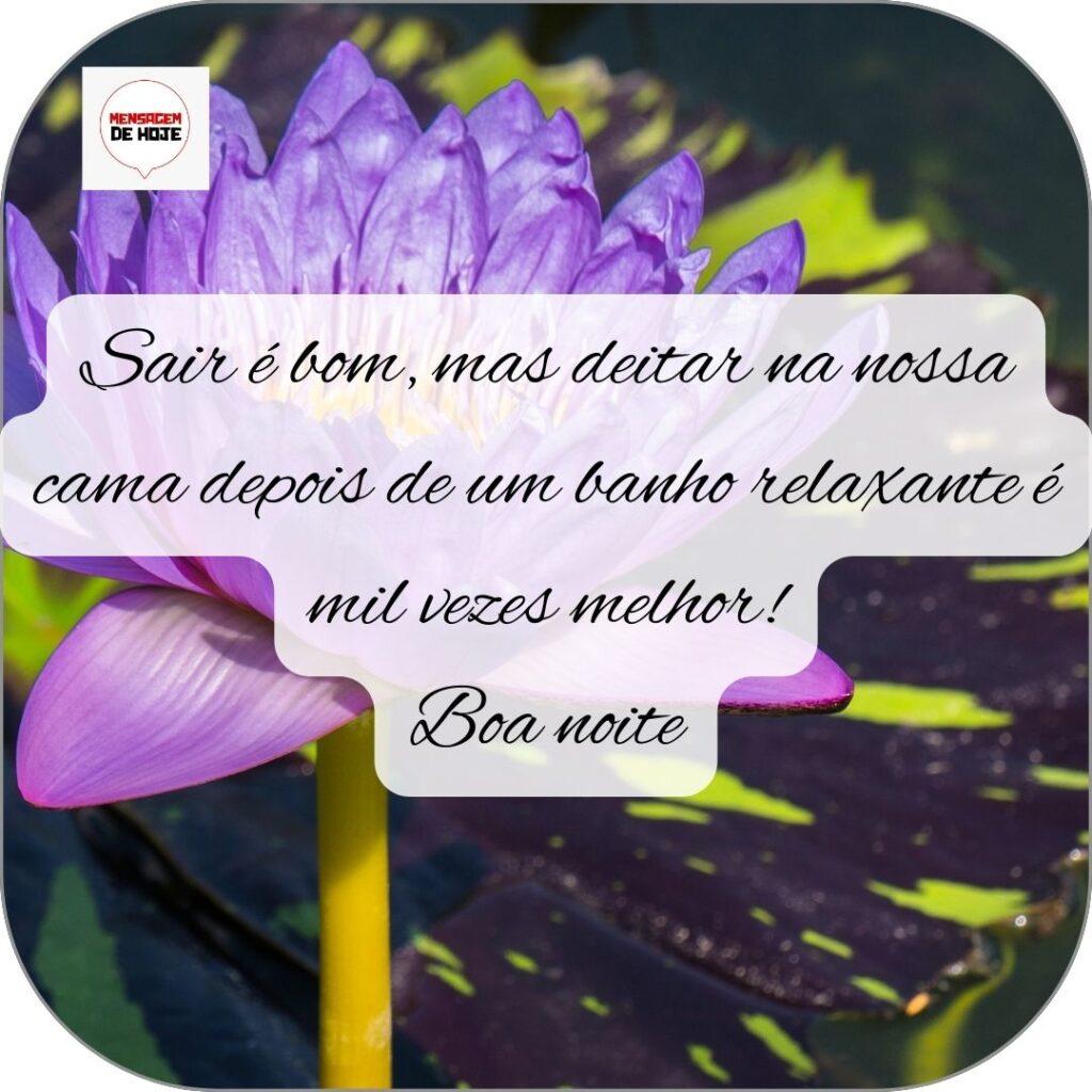 Boa Noite 23 de Outubro de 2022 19