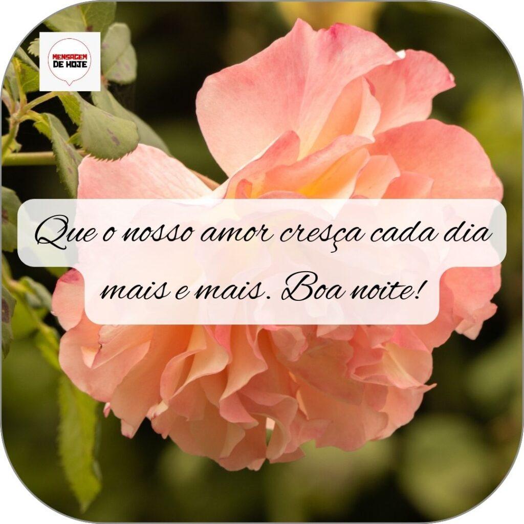 Boa Noite 18 de Outubro de 2022 15