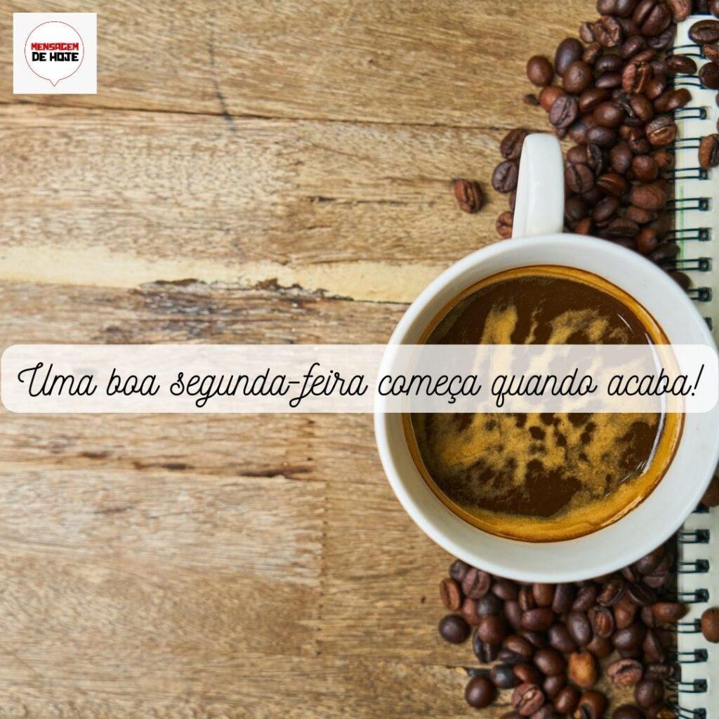 Bom Dia 26 de Novembro de 2022 15