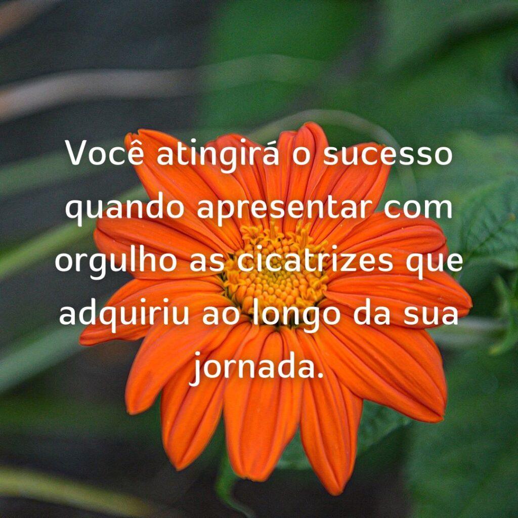 Boa Tarde 25 de Outubro de 2022 5
