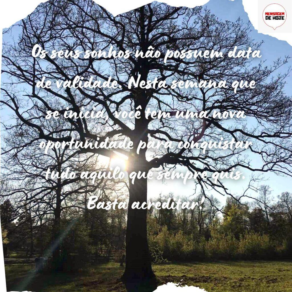 Bom Dia 12 de Novembro de 2022 11