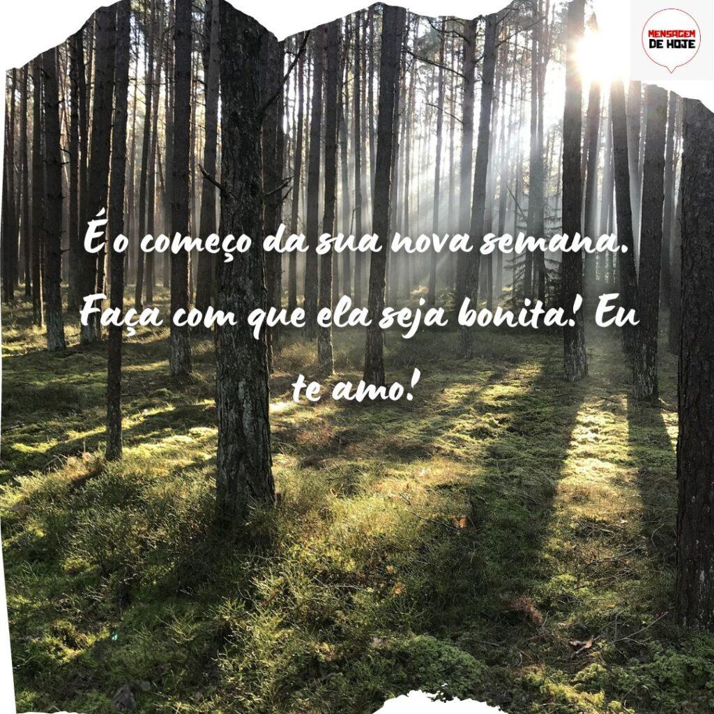 Bom Dia 12 de Novembro de 2022 15