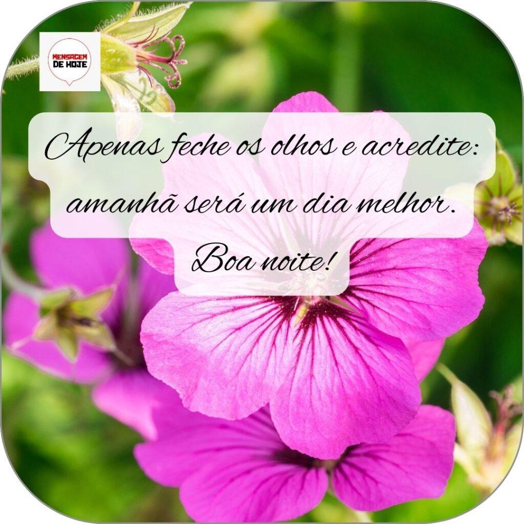Boa Noite 24 de Outubro de 2022 15