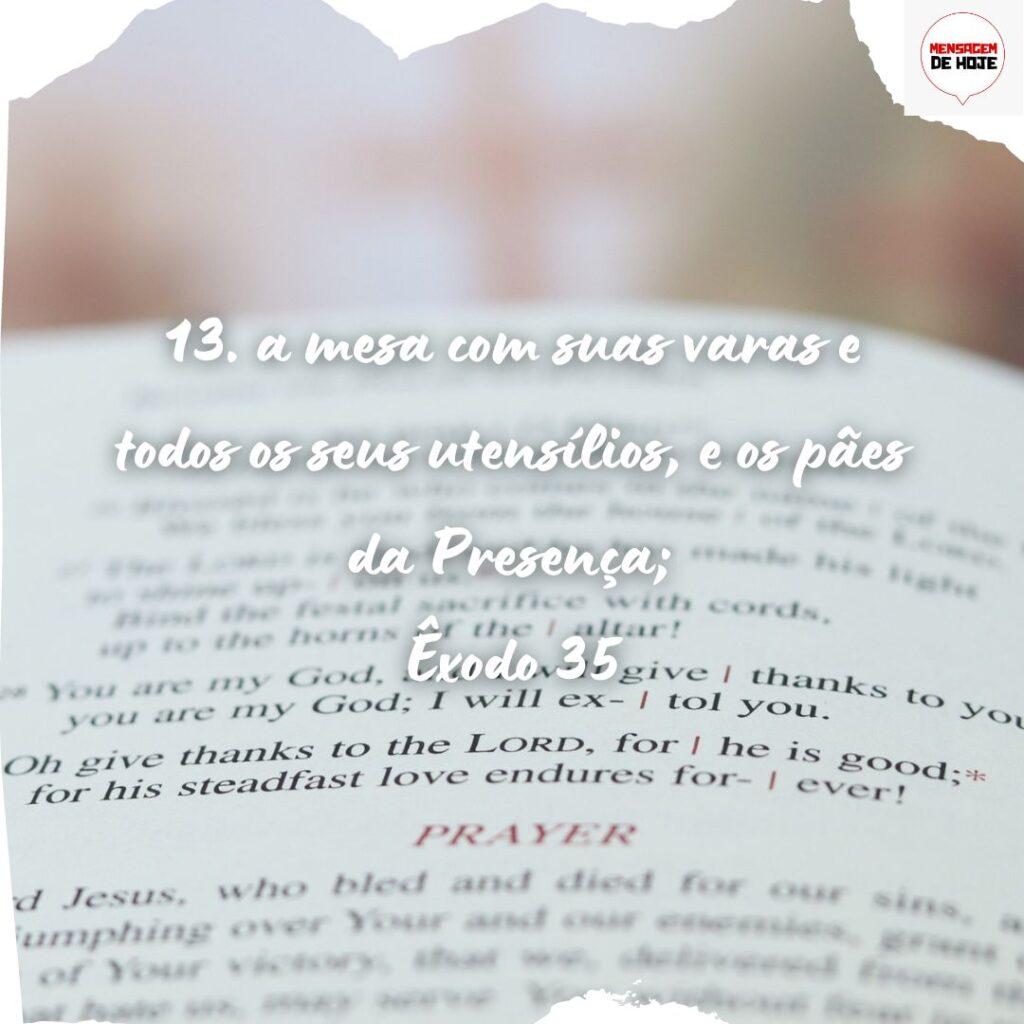 Salmos 12 de Novembro de 2022 19