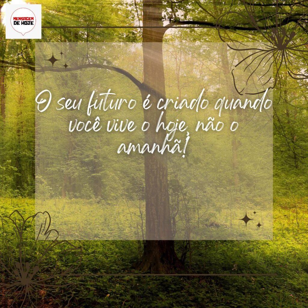 Bom Dia 11 de Outubro de 2022 7