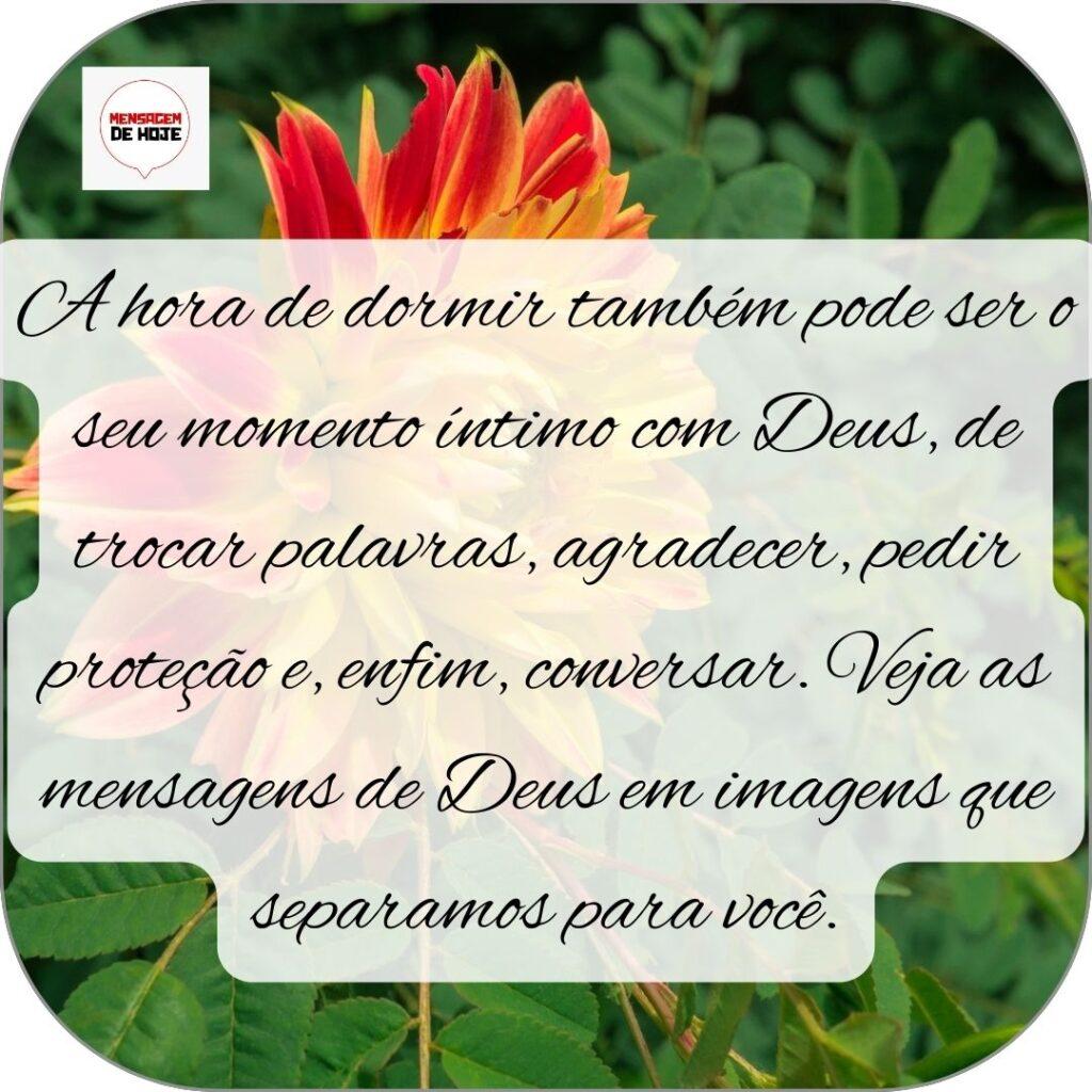 Boa Noite 25 de Outubro de 2022 11