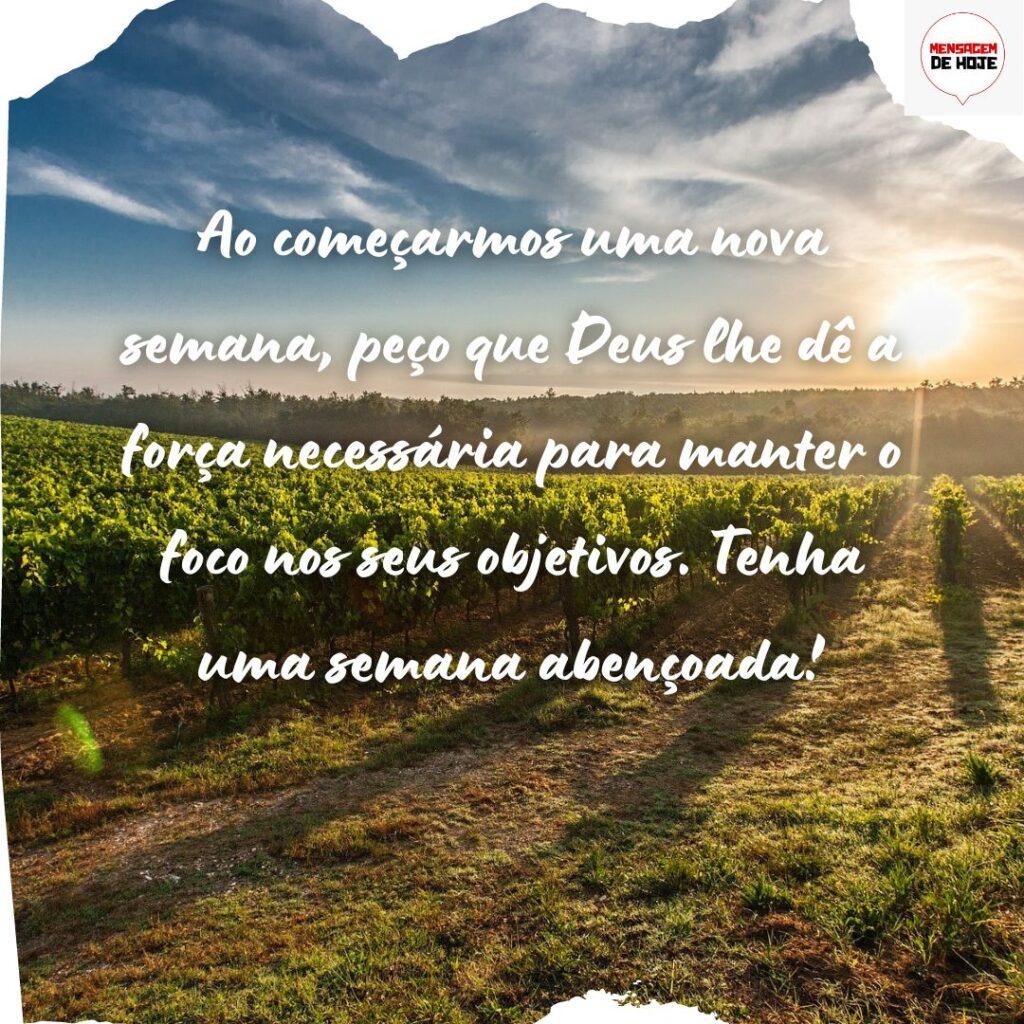 Bom Dia 13 de Novembro de 2022 13