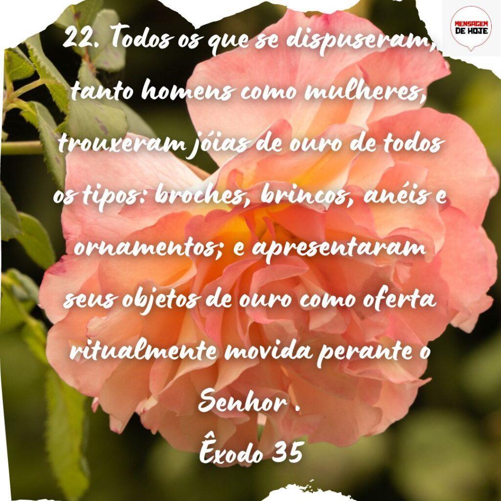 Salmos 13 de Novembro de 2022 19