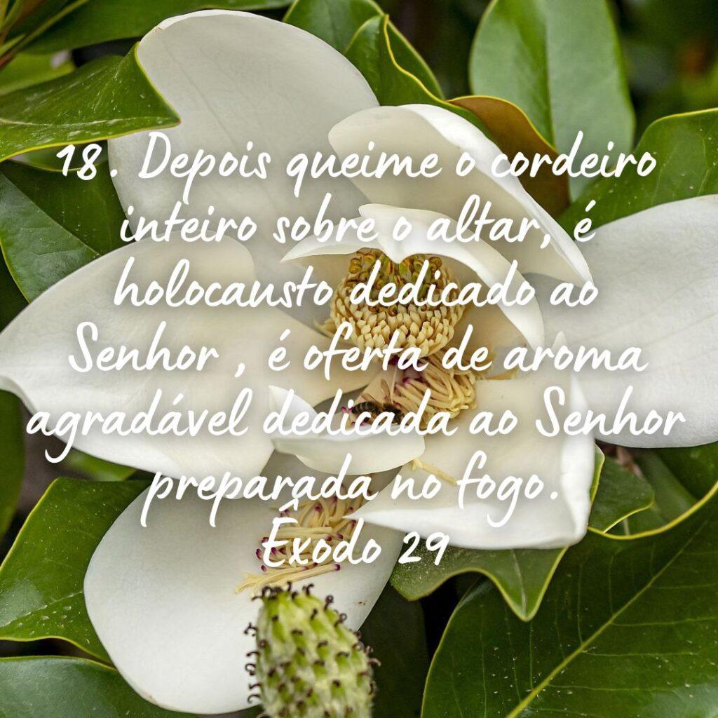 Salmos 24 de Outubro de 2022 19