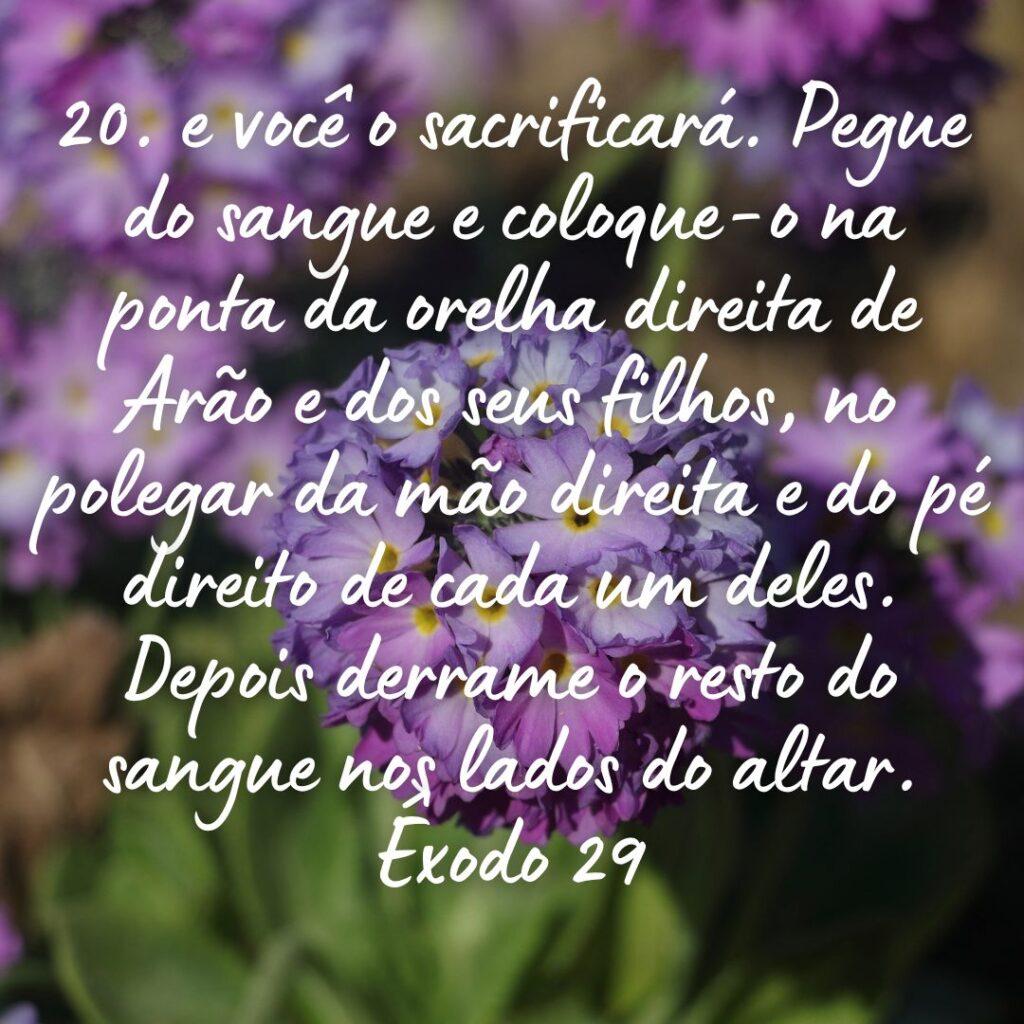 Salmos 24 de Outubro de 2022 3
