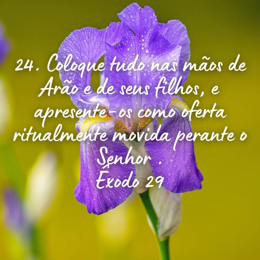 Salmos 25 de Outubro de 2022 15