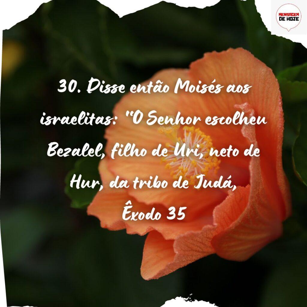 Salmos 14 de Novembro de 2022 13