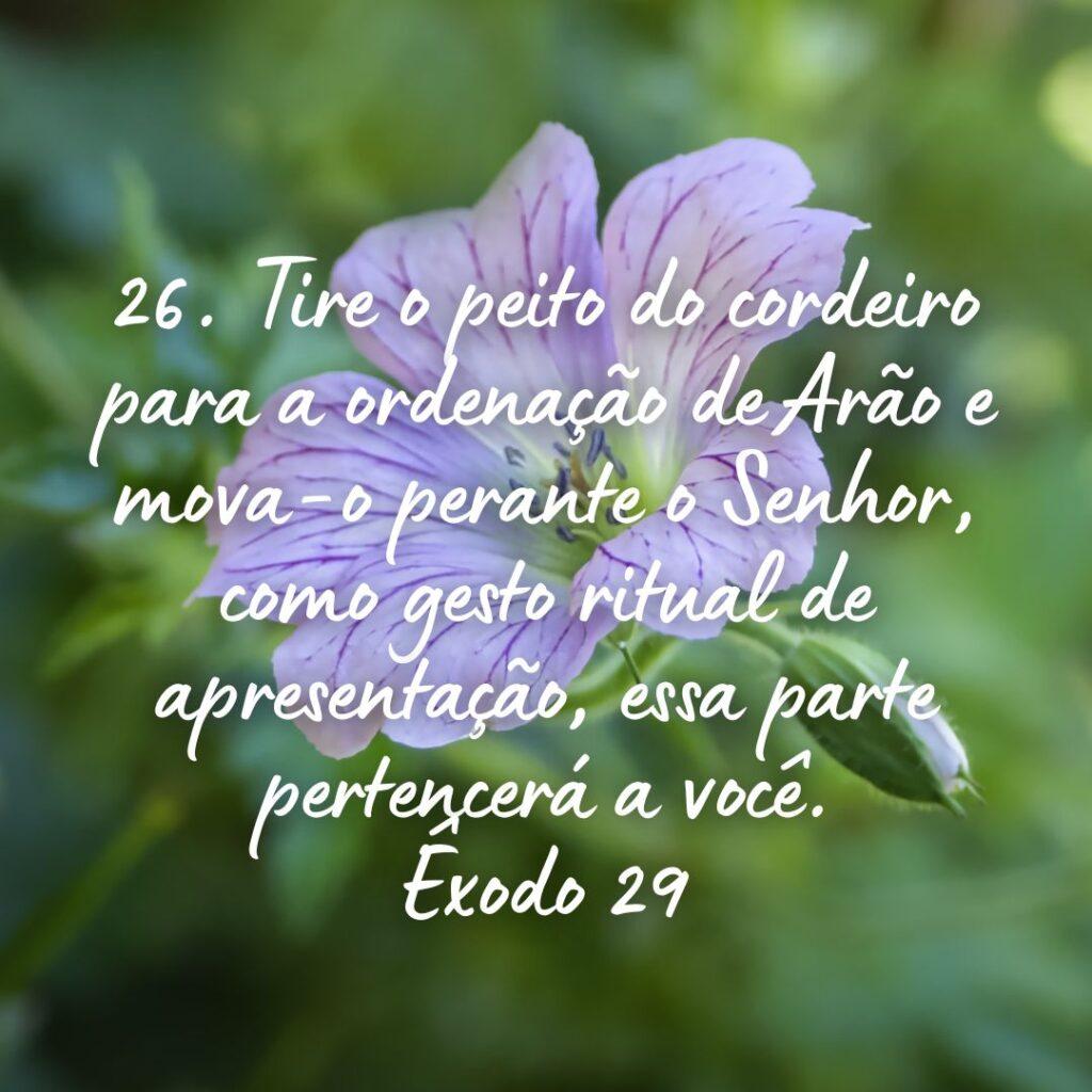 Salmos 25 de Outubro de 2022 19