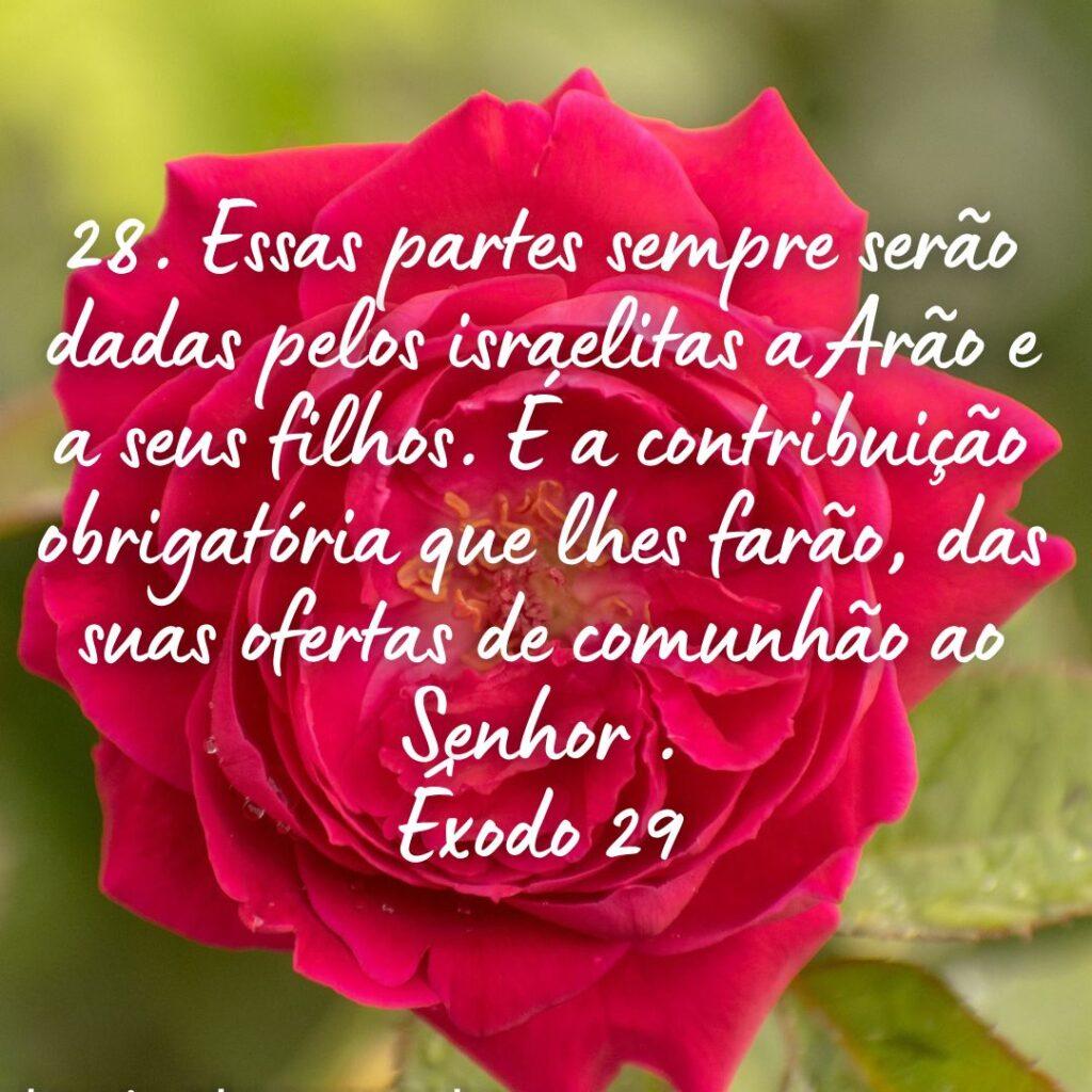 Salmos 25 de Outubro de 2022 3