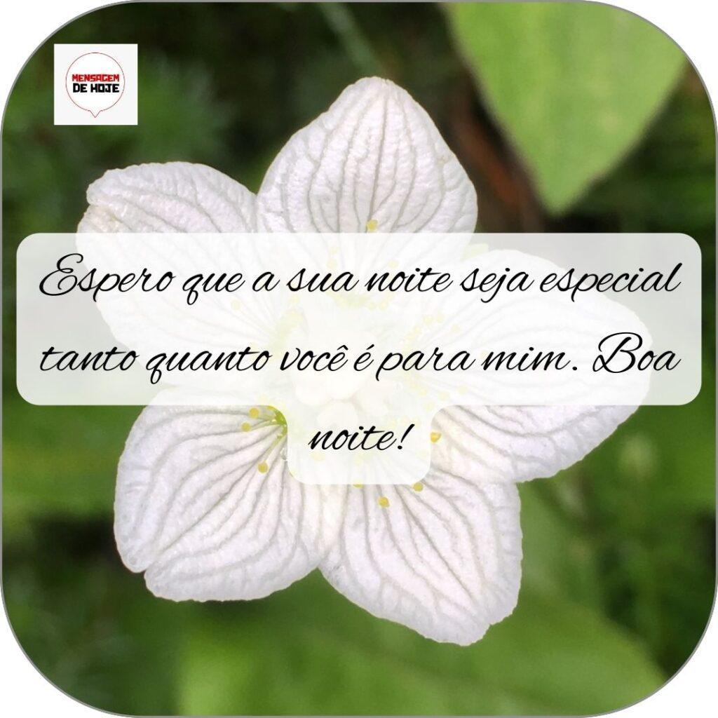 Boa Noite 18 de Outubro de 2022 1