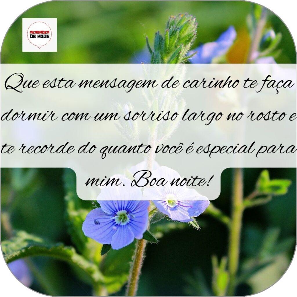 Boa Noite 27 de Outubro de 2022 7