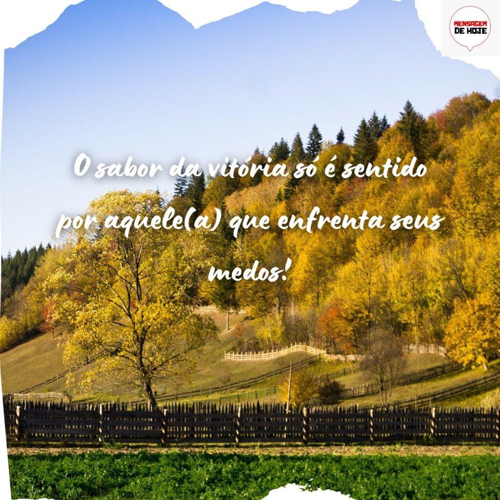Pensamentos 14 de Novembro de 2022 17