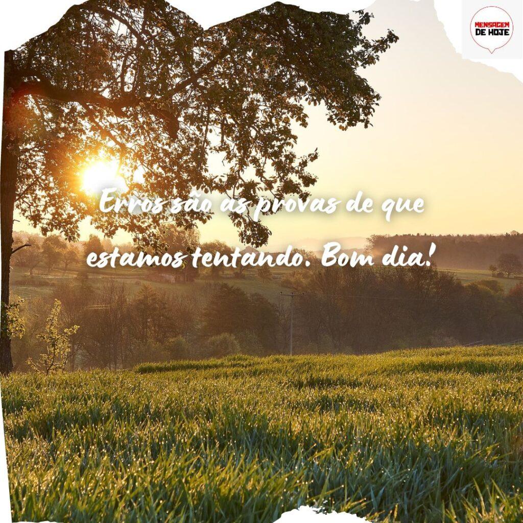 Bom Dia 15 de Novembro de 2022 13
