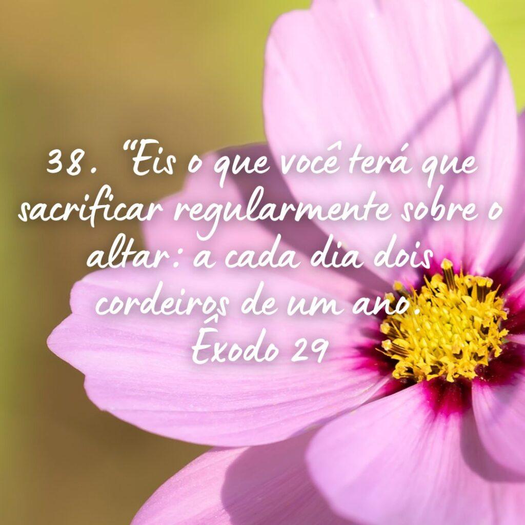 Salmos 26 de Outubro de 2022 19