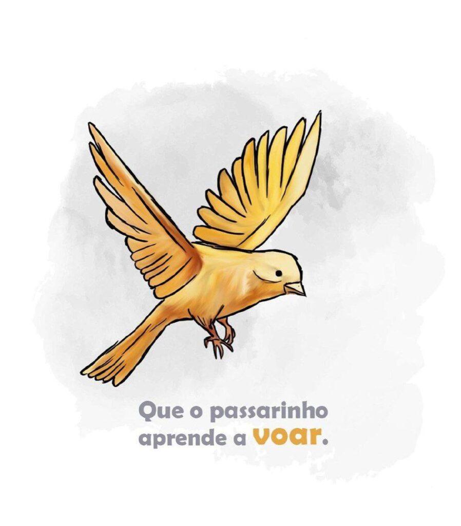 Pensamentos 08 de Novembro de 2022 37