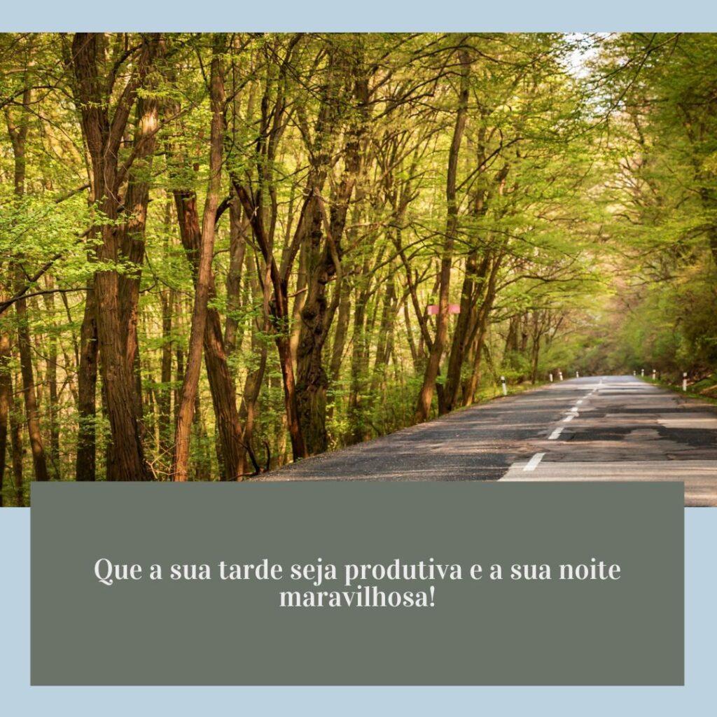 Boa Tarde 03 de Dezembro de 2022 3