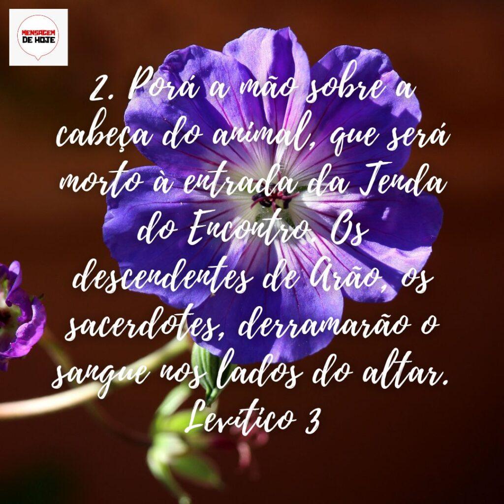 Salmos 06 de Dezembro de 2022 11
