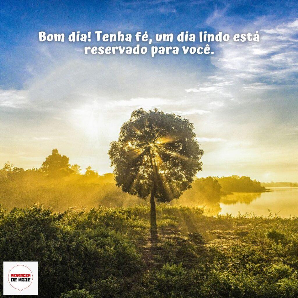 Bom Dia 16 de Dezembro de 2022 15
