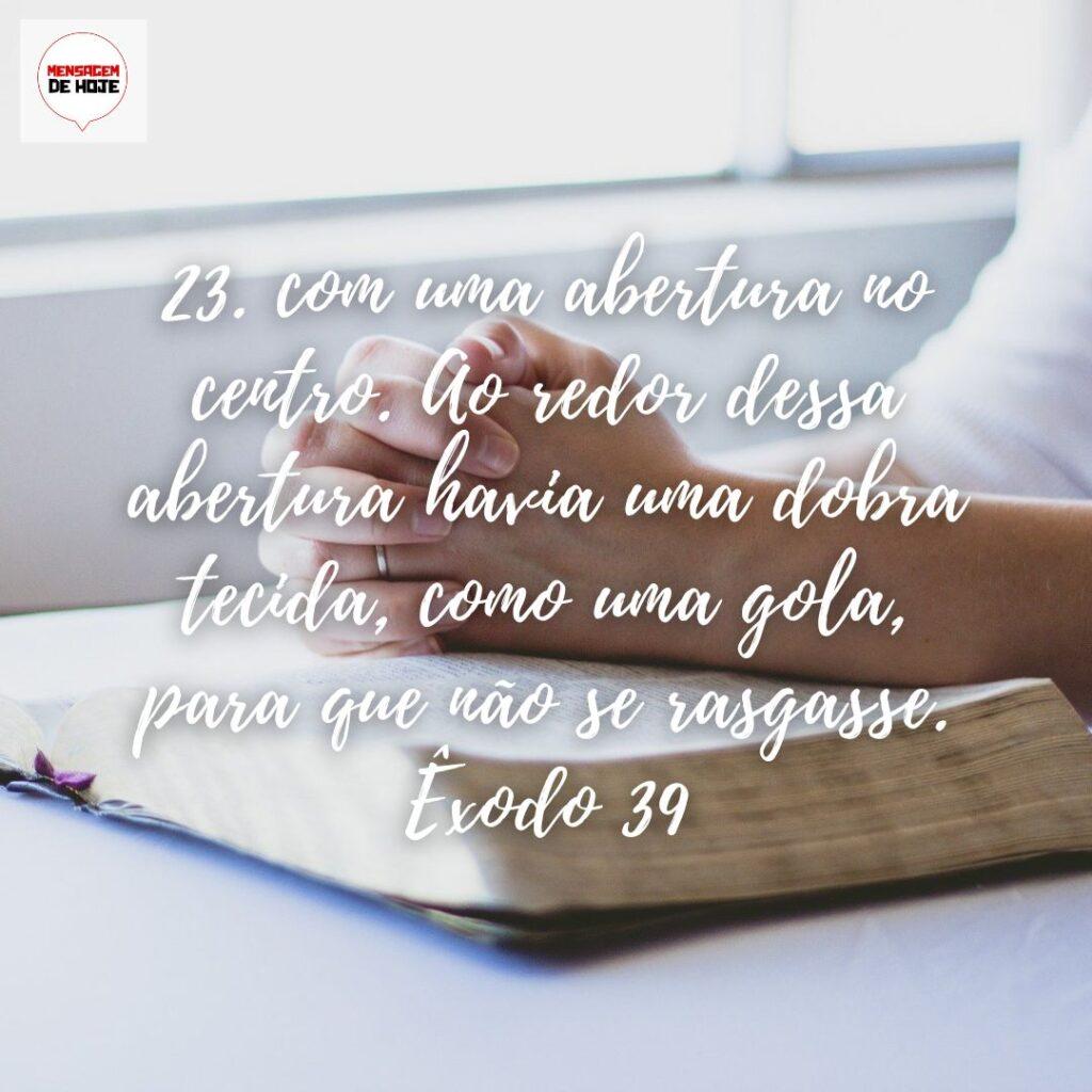 Salmos 17 de Dezembro de 2022 5