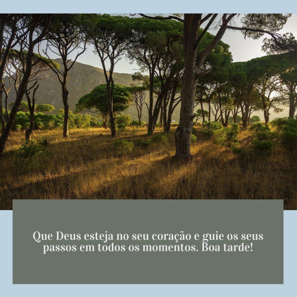 Boa Tarde 02 de Dezembro de 2022 5