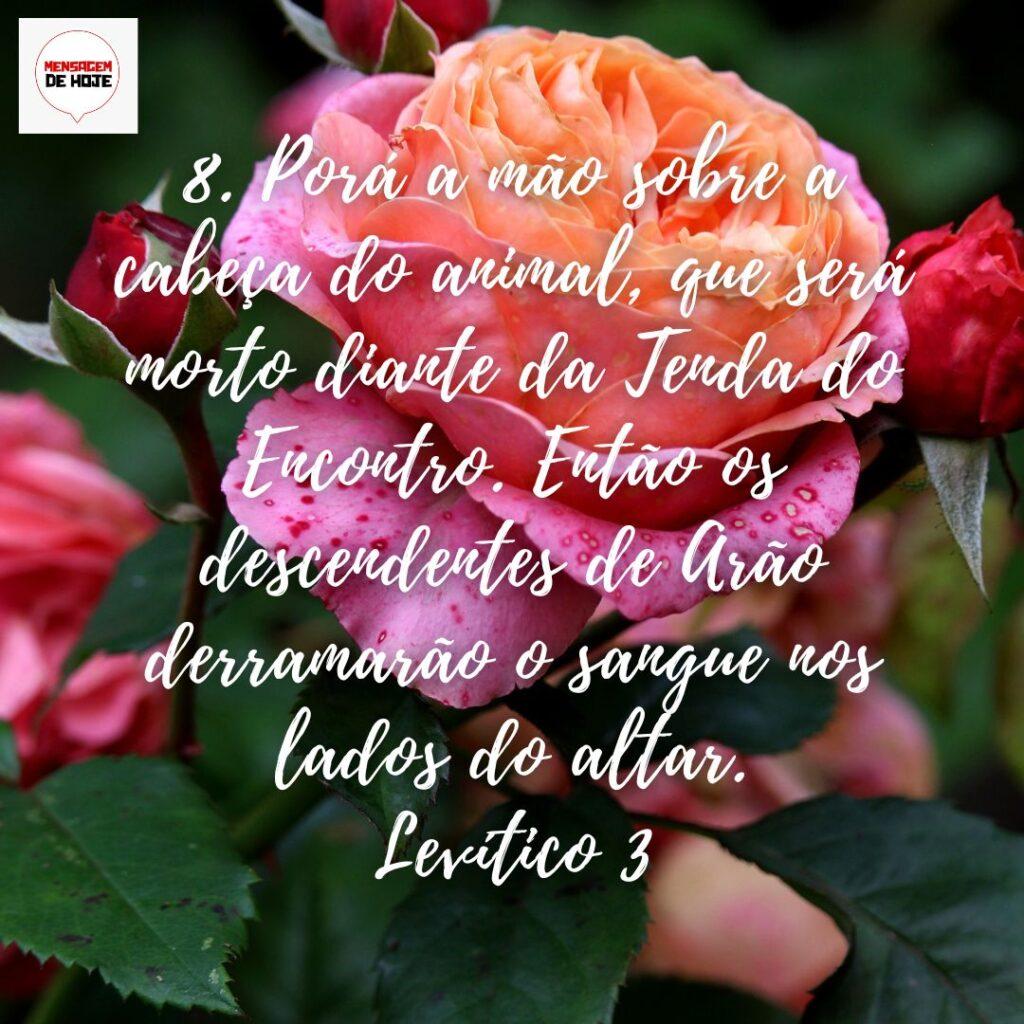 Salmos 06 de Dezembro de 2022 3