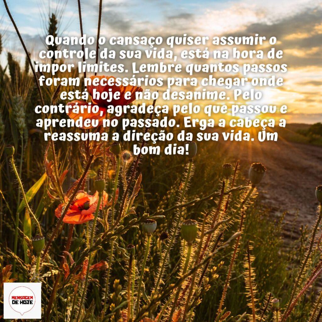 Bom Dia 15 de Dezembro de 2022 11