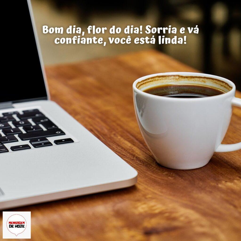 Bom Dia 15 de Dezembro de 2022 13