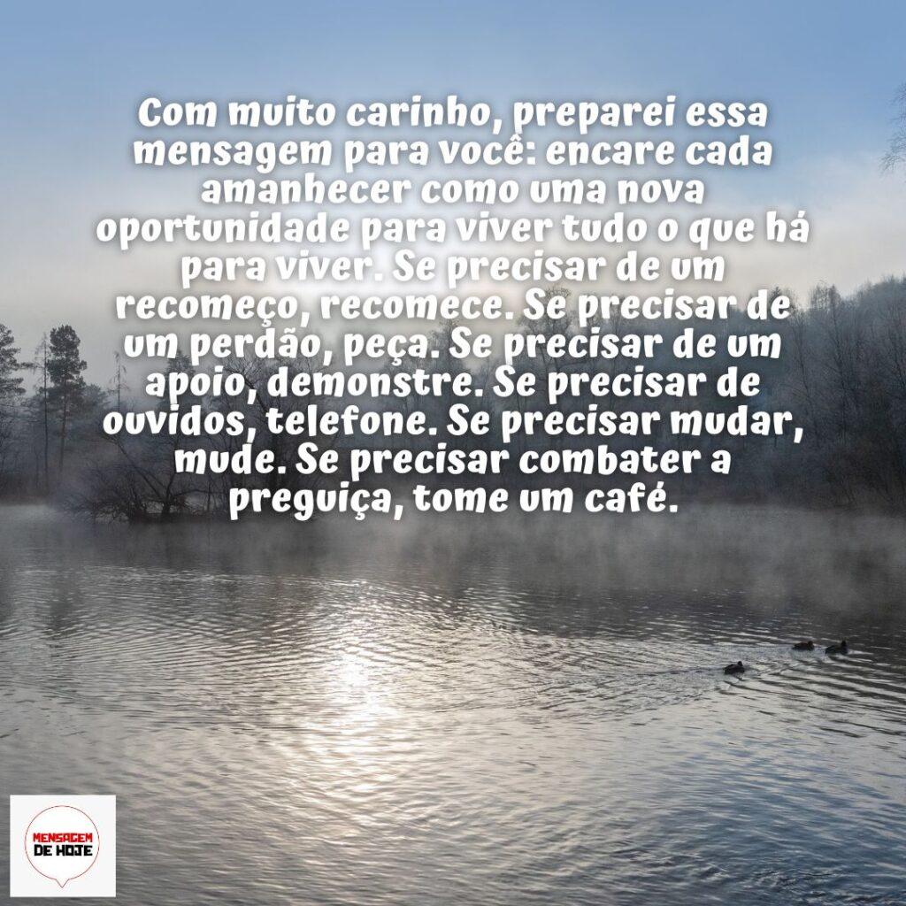 Bom Dia 15 de Dezembro de 2022 15