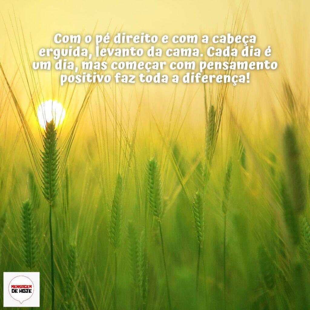 Bom Dia 15 de Dezembro de 2022 19
