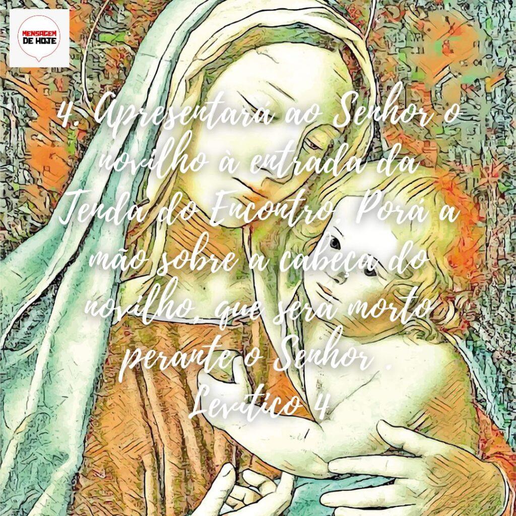 Salmos 28 de Dezembro de 2022 11